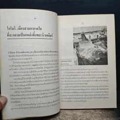 โลกใบเขียว - วพจน์ ณ นคร รูปที่ 9