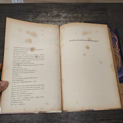 The Bronze Pen - Zilpha Keatley Snyder รูปที่ 6