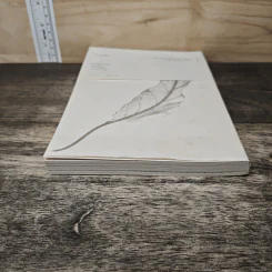 วะบิ-ซะบิ Wabi-Sabi - เลนาร์ด โคเรน รูปที่ 4