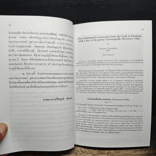 วันที่วางชอล์ค - ศาสตราจารย์ไพบูลย์ นัยเนตร รูปที่ 9