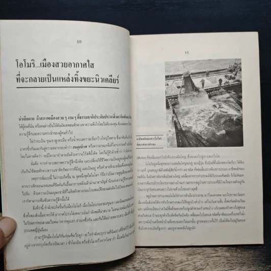 โลกใบเขียว - วพจน์ ณ นคร รูปที่ 9