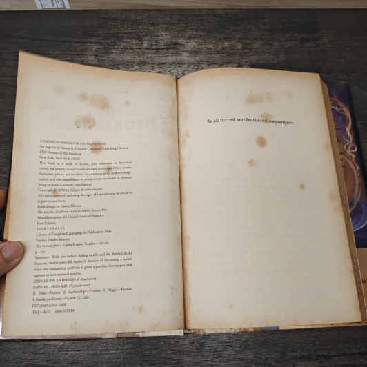 The Bronze Pen - Zilpha Keatley Snyder รูปที่ 6