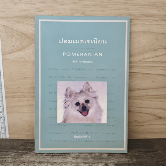 ปอมเมอเรเนี่ยน POMERANIAN - สันต์ นาคะสุวรรณ รูปที่ 1