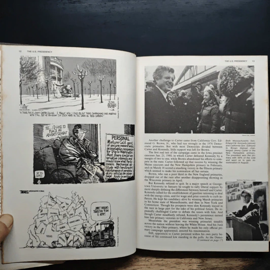 The Americana Annual 1981 รูปที่ 9