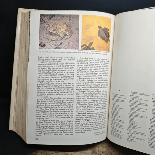 The Americana Annual 1981 รูปที่ 10