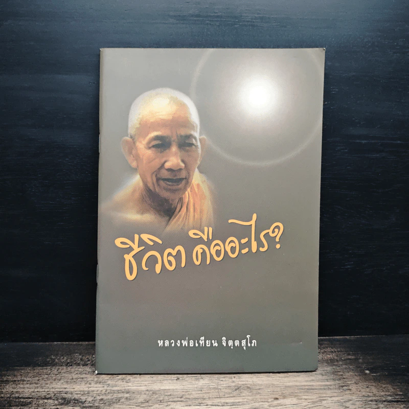 ชีวิต คืออะไร? - หลวงพ่อเทียน จิตฺตสุโภ รูปที่ 1