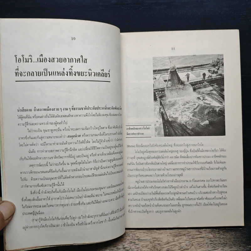 โลกใบเขียว - วพจน์ ณ นคร รูปที่ 9