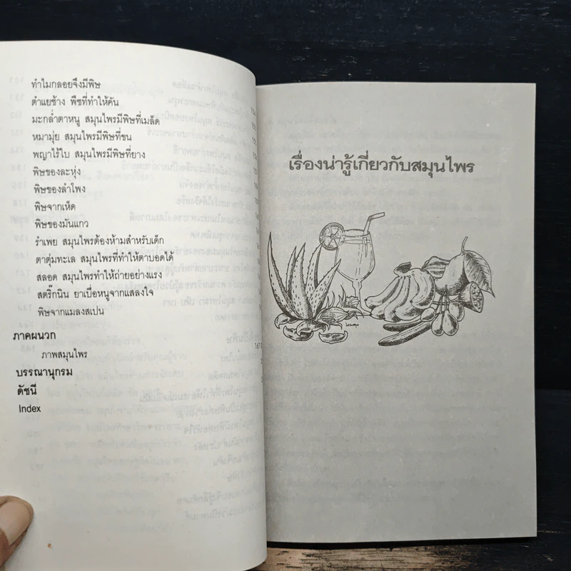 เกร็ดความรู้สมุนไพร - วันดี กฤษณพันธ์ รูปที่ 11