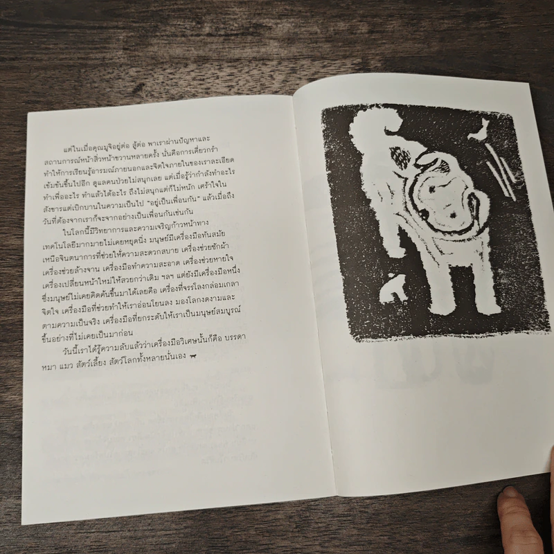 หายไปหมามา - ภัทรพร อภิชิต รูปที่ 8