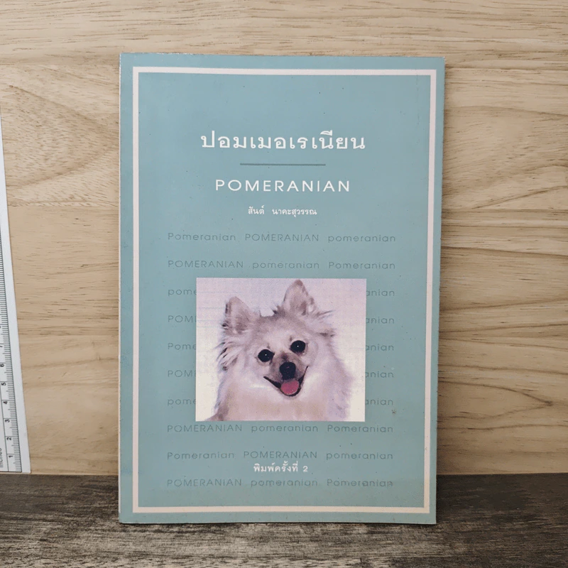 ปอมเมอเรเนี่ยน POMERANIAN - สันต์ นาคะสุวรรณ รูปที่ 1
