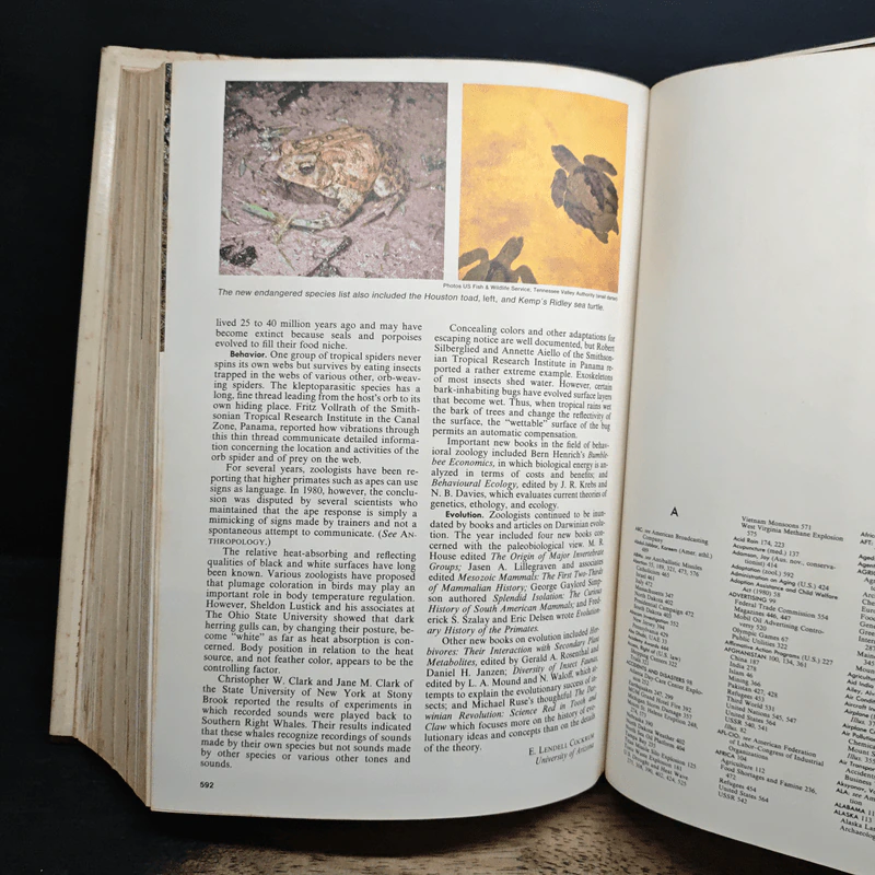 The Americana Annual 1981 รูปที่ 10