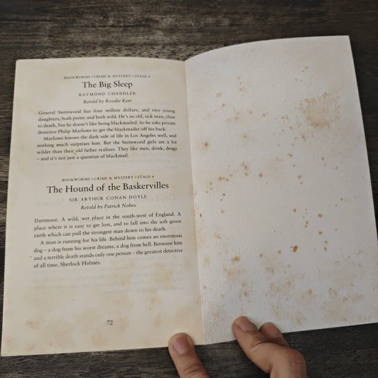 The Last Sherlock Holmes Story - Michael Dibdin รูปที่ 8
