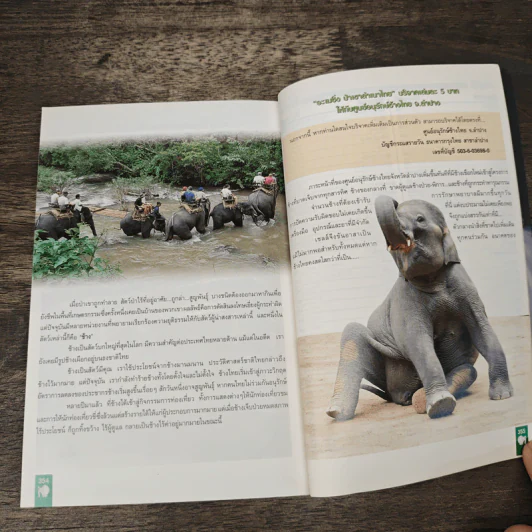 อะเมซิ่งป่าเขาลำเนาไทย รูปที่ 8