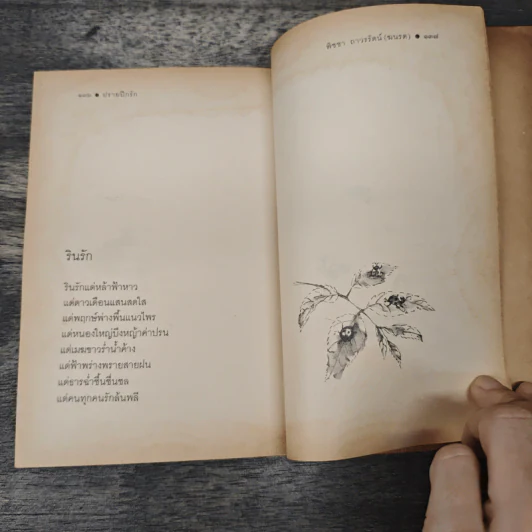ปรายปีกรัก - พิชชา ถาวรรัตน์ (ฆนรต) รูปที่ 9
