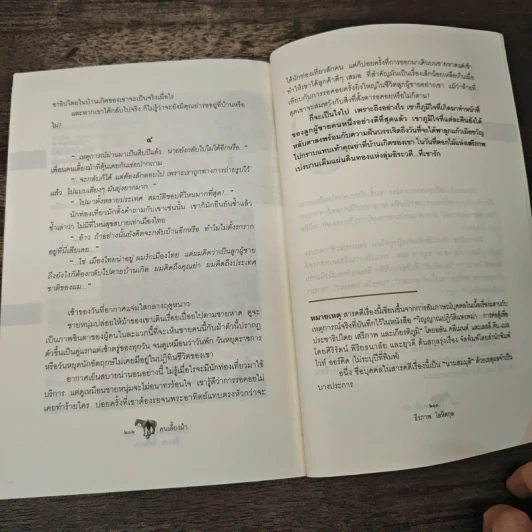 คนเลี้ยงม้า - ธีรภาพ โลหิตกุล รูปที่ 9