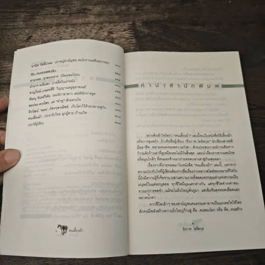 คนเลี้ยงม้า - ธีรภาพ โลหิตกุล รูปที่ 7