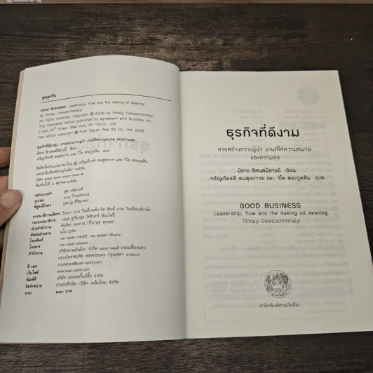 ธุรกิจที่ดีงาม Good Business - มิฮาย ชิกเซนต์มิฮายยี รูปที่ 6