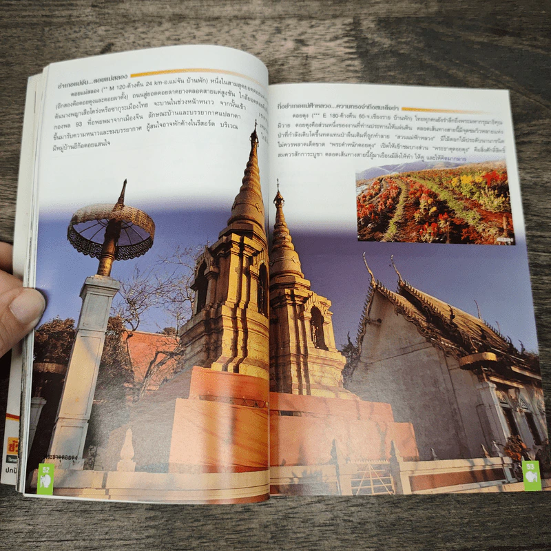 อะเมซิ่งป่าเขาลำเนาไทย รูปที่ 7