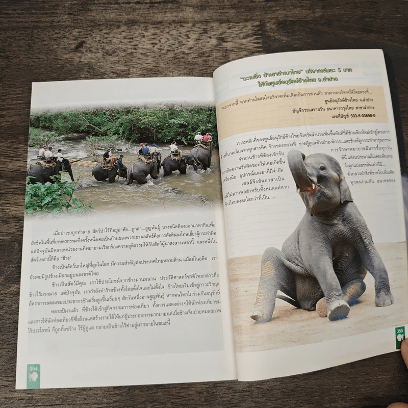 อะเมซิ่งป่าเขาลำเนาไทย รูปที่ 8