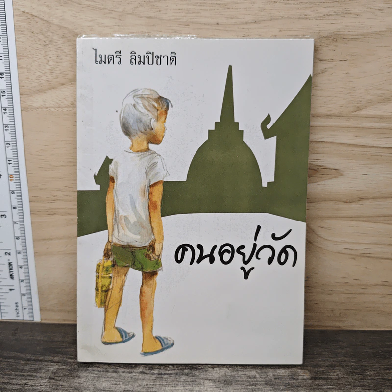 ดนอยู่วัด - ไมตรี ลิมปิชาติ รูปที่ 1