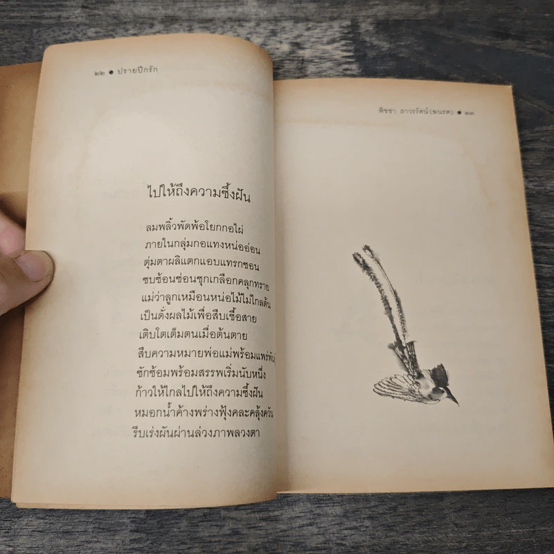 ปรายปีกรัก - พิชชา ถาวรรัตน์ (ฆนรต) รูปที่ 8
