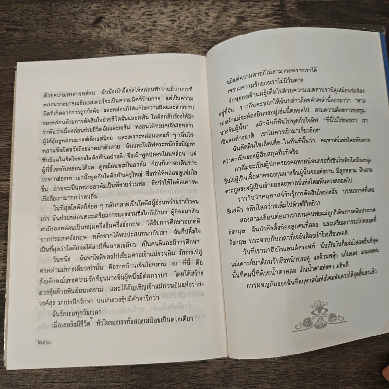 โคมพันดวง The House of a Thousand Lanterns - วิคทอเรีย โฮลท์, วีรันดา รูปที่ 9
