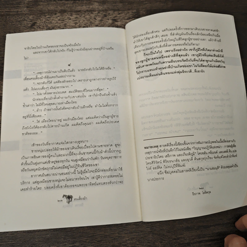 คนเลี้ยงม้า - ธีรภาพ โลหิตกุล รูปที่ 9