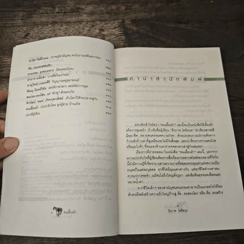 คนเลี้ยงม้า - ธีรภาพ โลหิตกุล รูปที่ 7