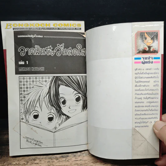 วาดฝันถึงวันสดใส 2 เล่มจบ รูปที่ 6