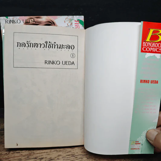 กลรักสาวใช้กำมะลอ 2 เล่มจบ - Rinko Ueda รูปที่ 6