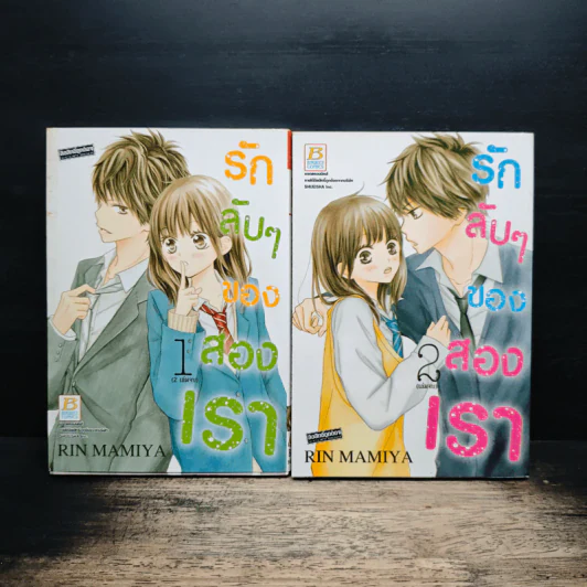รักลับๆของสองเรา 2 เล่มจบ รูปที่ 1