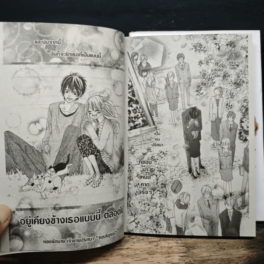 หลงรักนายเจ้าชายปริศนา 2 เล่มจบ รูปที่ 9