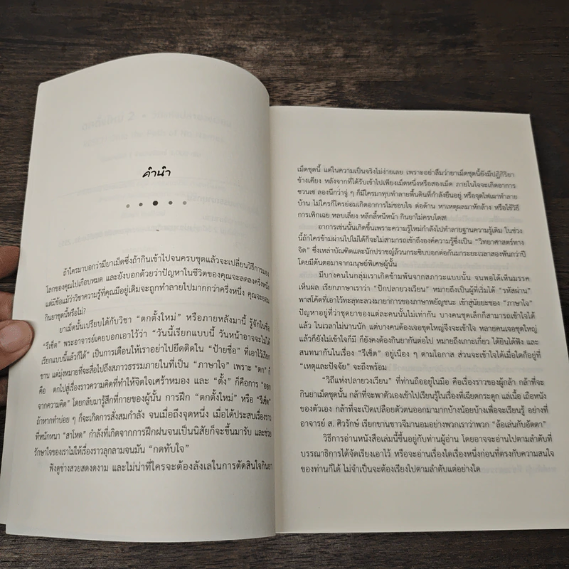 ตกตั้งใหม่ วิถีแห่งปลายวงเวียน รูปที่ 7