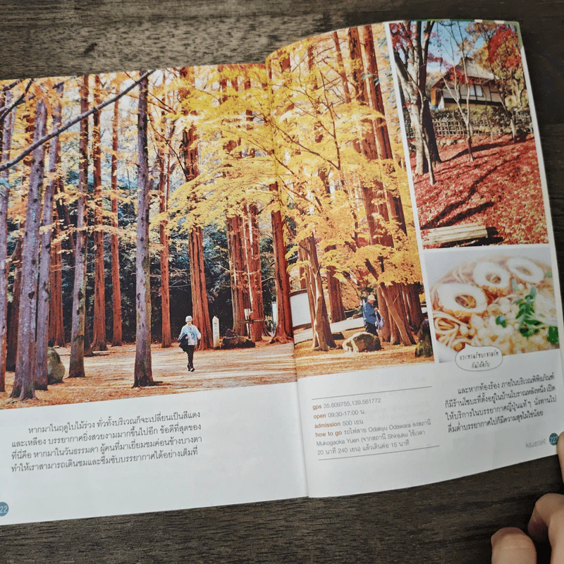 Japan Trip โตเกียวและรอบๆ - DPlus Guide รูปที่ 8