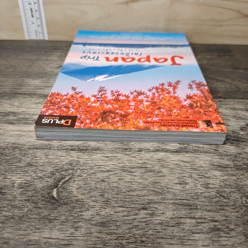 Japan Trip โตเกียวและรอบๆ - DPlus Guide รูปที่ 4