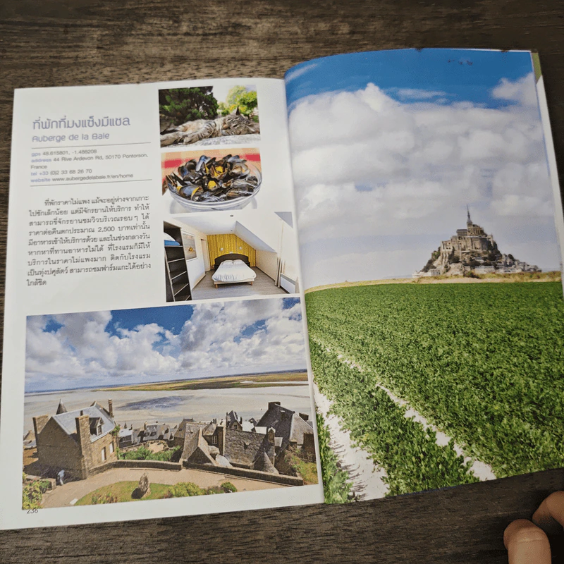 ยุโรป เส้นทางสายโรแมนติก - DPLUS GUIDE รูปที่ 9
