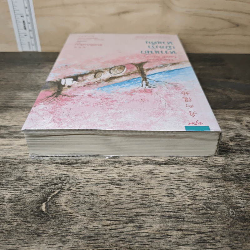 หวานนักเมื่อรักหวนคืน The Sweet Love Story - จ้าวเฉียนเฉียน(จ้าวกานกาน) รูปที่ 4