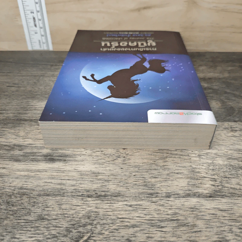 การเดินทางของเหล่ายูนิคอร์น The Journey of UNICORNS - วิลาส ฉ่ำเลิศวัฒน์ รูปที่ 4