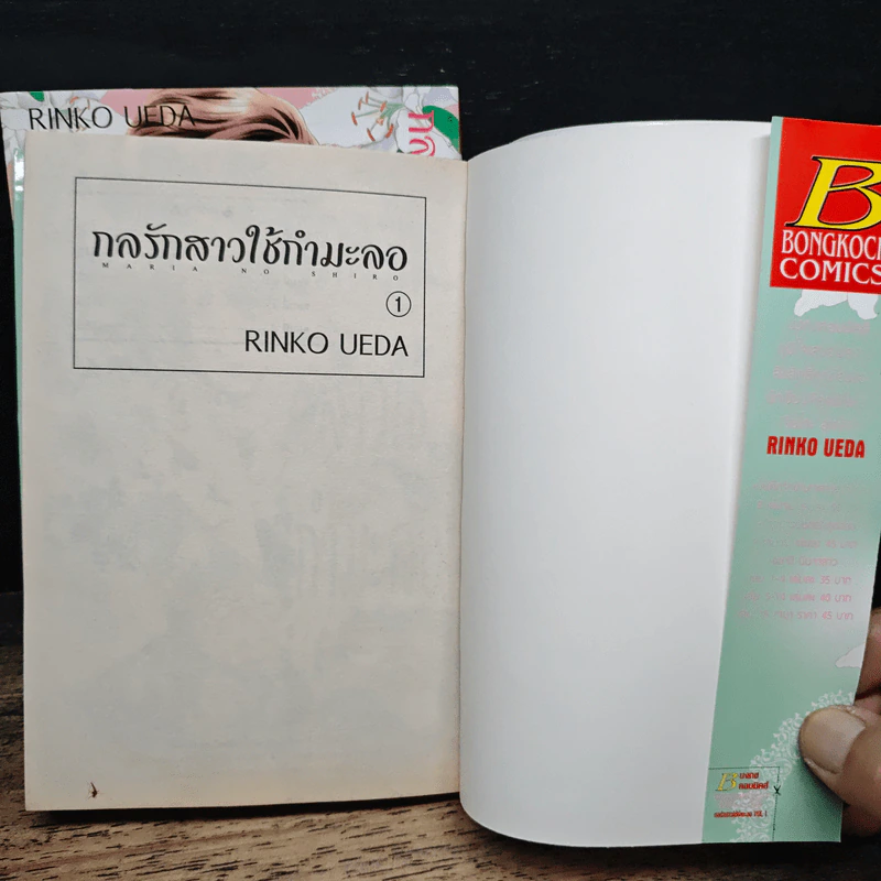 กลรักสาวใช้กำมะลอ 2 เล่มจบ - Rinko Ueda รูปที่ 6