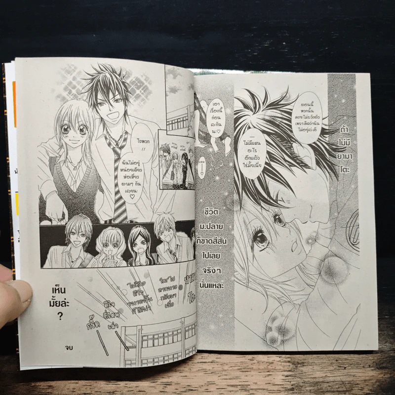 I Love High School คู่รักเพื่อนเลิฟ 2 เล่มจบ - YOKOYAMA Mayumi รูปที่ 10