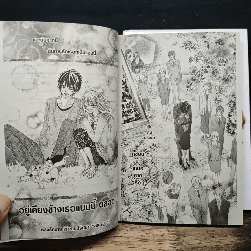 หลงรักนายเจ้าชายปริศนา 2 เล่มจบ รูปที่ 9