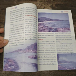 Study ฉบับ เกาะเสม็ด รูปที่ 7