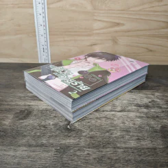 ปฏิบัติการกู้ชีวิตฉบับวายร้าย เล่ม 1-2 รูปที่ 4