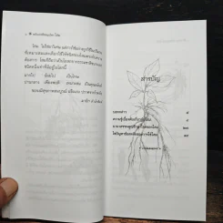พลังแห่งพืชสมุนไพร โสม - กอไชย โตศิริโชค รูปที่ 7