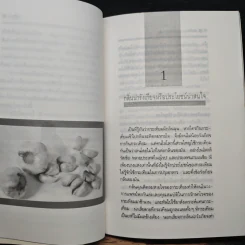 กระเทียม สมุนไพรเสริมสุขภาพ จากงานวิจัยล่าสุด - ปาริชาติ สักกะทำนุ รูปที่ 8