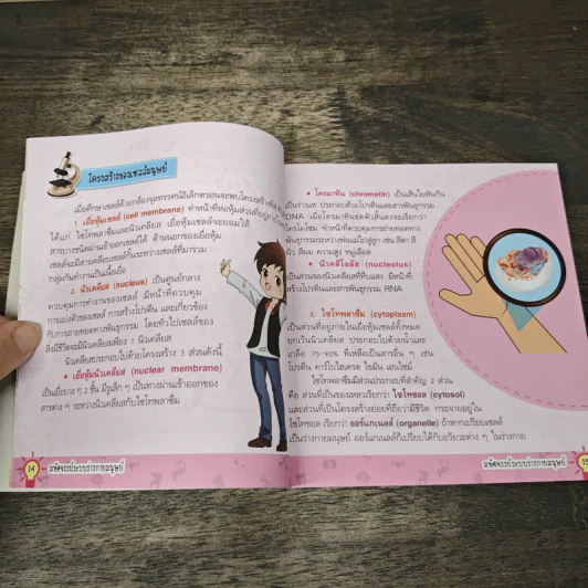 มหัศจรรย์ระบบร่างกายมนุษย์ รูปที่ 7