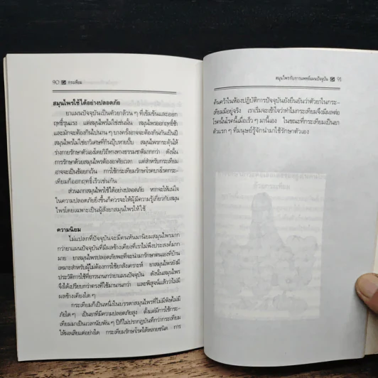 กระเทียม สมุนไพรเสริมสุขภาพ จากงานวิจัยล่าสุด - ปาริชาติ สักกะทำนุ รูปที่ 9