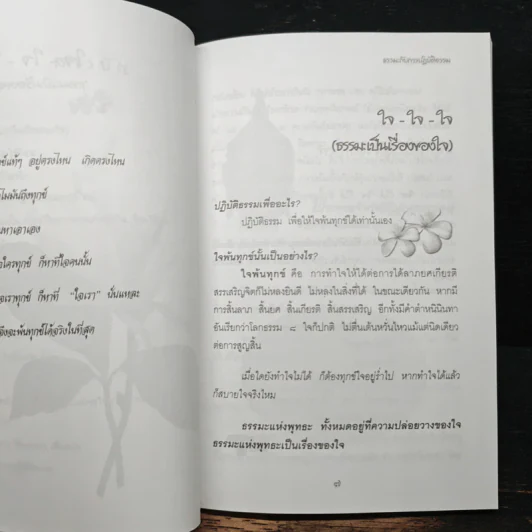 ธรรมะกับการปฏิบัติธรรม รูปที่ 8