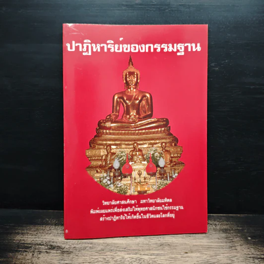 ปาฏิหาริย์ของกรรมฐาน รูปที่ 1