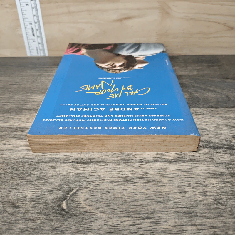 Call Me by Your Name - Andre Aciman รูปที่ 4